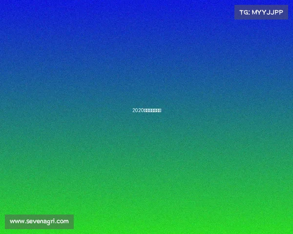 2020中山市篮球联赛