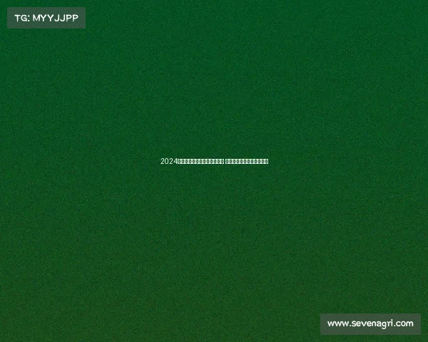 2024黄河口（东营）马拉松赛启幕 奔跑黄河口生态之城绽活力