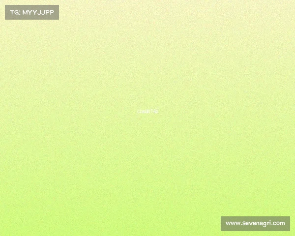 cba广东14号 cba广东14号