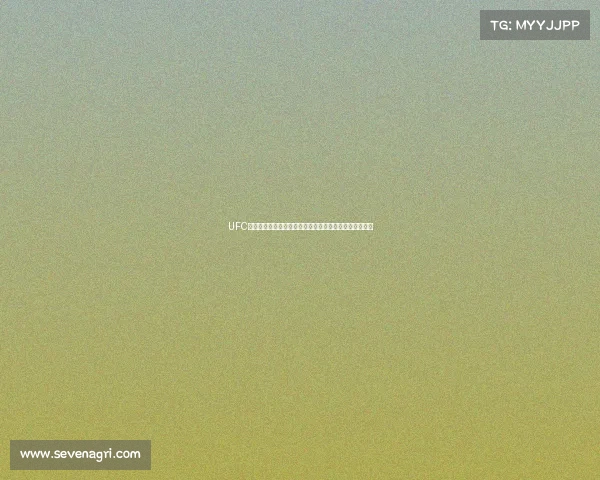 UFC全球全系列赛事巅峰激战英雄争霸传奇永不落幕激情碰撞 UFC全球全系列赛事巅峰激战英雄争霸传奇永不落幕激情碰撞