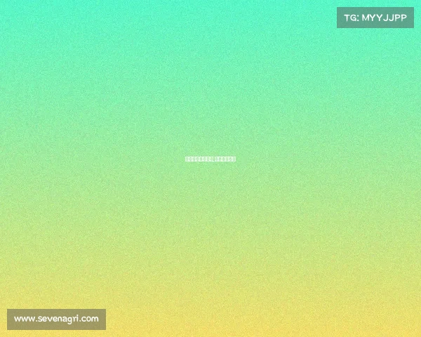 世界顶级户外赛事,世界十大户外