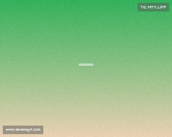 体育赛事解说词完整版 体育赛事解说词完整版