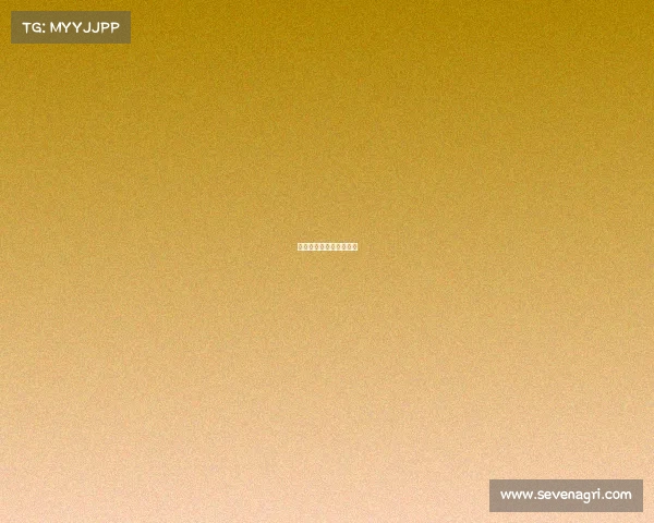 因为疫情导致的赛事停摆