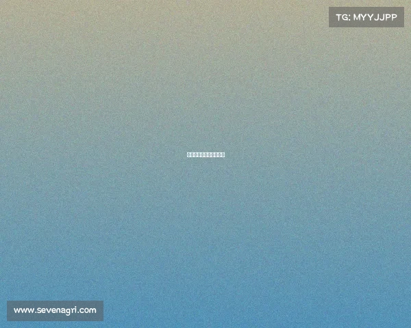 电子竞技教学项目有哪些