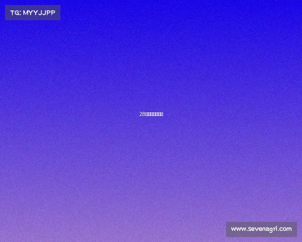 28款电竞皮肤上架