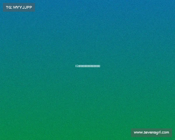 IG电竞风云再起:传奇舞台谁主沉浮 IG电竞风云再起:传奇舞台谁主沉浮