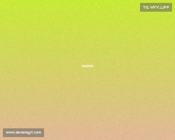 成都电子竞技培训