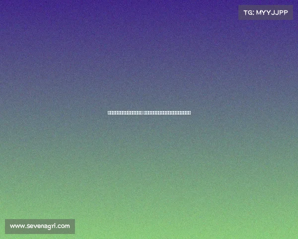 深圳电子竞技教育培训有限公司 鹏城竞启未来——打造电竞人才培养新高地