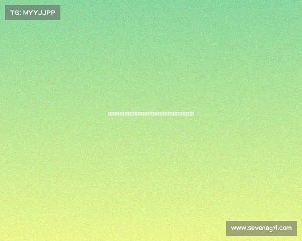 狼队电子竞技俱乐部主场—狼啸斗鱼狼队电竞热血开播，锁定直播间不见不散