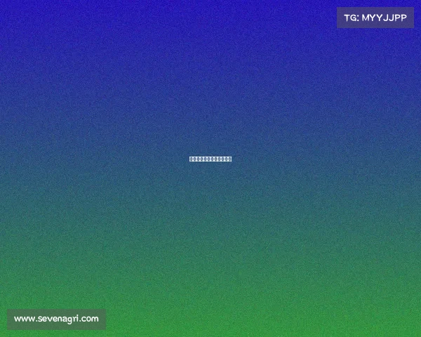 电子竞技中的女人们是谁啊