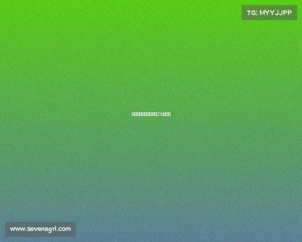 电子竞技小北—电竞小2b还有谁 电子竞技小北—电竞小2b还有谁